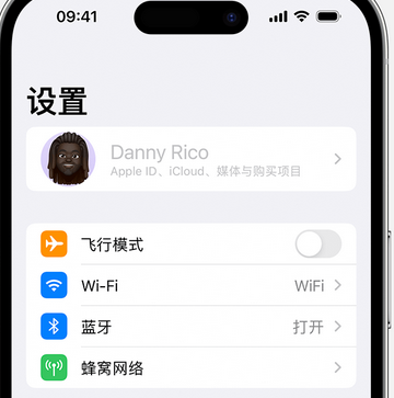 汉阳appleID维修服务iPhone设置中Apple ID显示为灰色无法使用