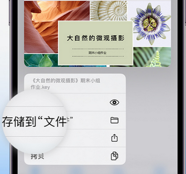 汉阳apple维修中心分享iPhone文件应用中存储和找到下载文件