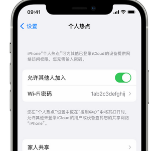 汉阳apple服务站点分享iPhone上个人热点丢失了怎么办 