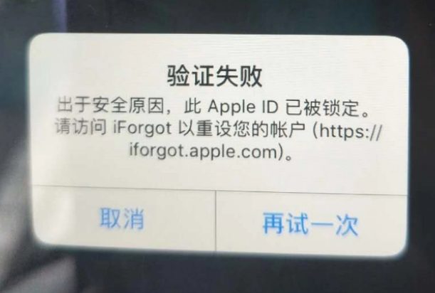 汉阳iPhone维修分享iPhone上正常登录或使用AppleID怎么办 