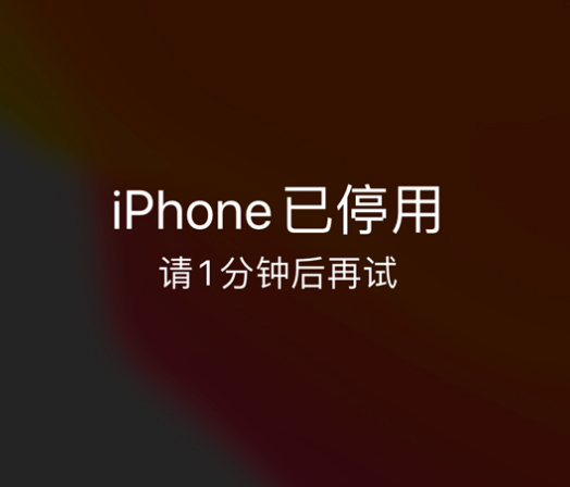 汉阳苹果手机维修分享:iPhone 显示“不可用”或“已停用”怎么办？还能保留数据吗？ 