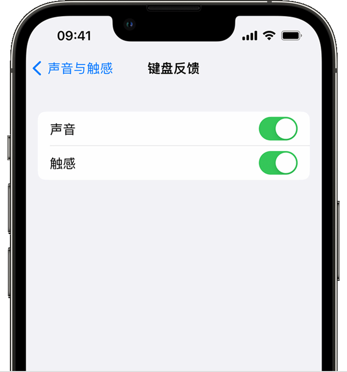 汉阳苹果14维修店分享如何在 iPhone 14 机型中使用触感键盘 