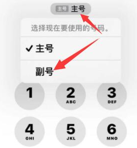 汉阳苹果14维修店分享iPhone 14 Pro Max使用副卡打电话的方法 