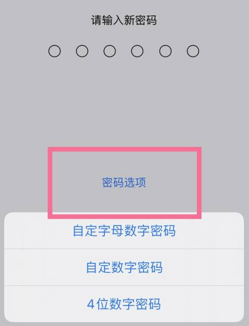 汉阳苹果14维修分享iPhone 14plus设置密码的方法 