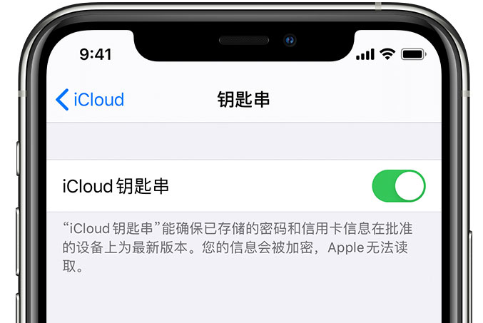 汉阳苹果手机维修分享在 iPhone 上开启 iCloud 钥匙串之后会储存哪些信息 