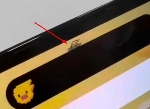 汉阳苹果14维修分享iPhone 14 Pro Max灵动岛怎么养宠物 