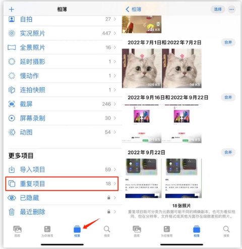 汉阳苹果手机维修分享iOS 16 中相册重复项目功能使用方法 