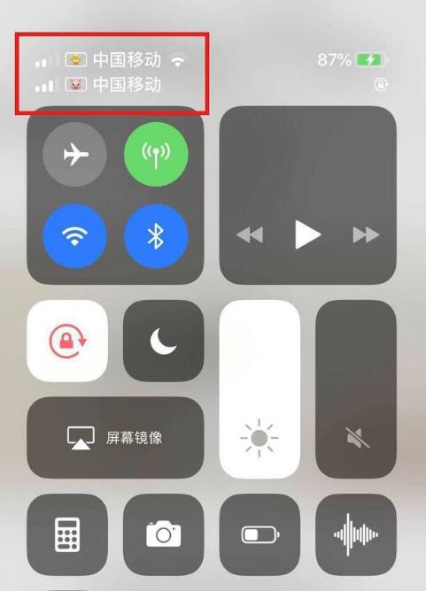 汉阳苹果手机维修分享为 iPhone 12 双卡设置标签 