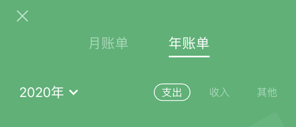 汉阳苹果手机维修分享如何在 iPhone 上查看支付宝和微信年支出账单 